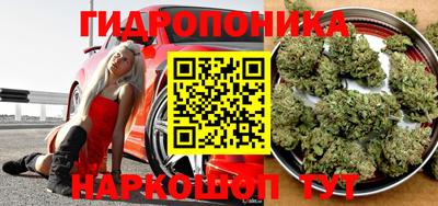 PSILOCYBIN Заводоуковск