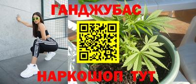 PSILOCYBIN Заводоуковск
