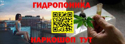PSILOCYBIN Заводоуковск
