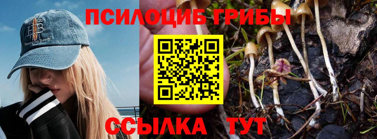 Псилоцибиновые грибы мухоморы Лосино-Петровский